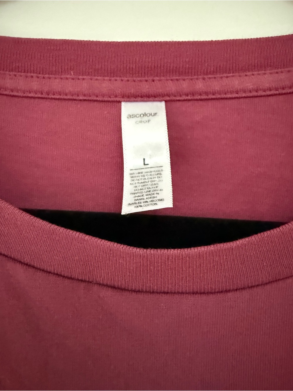 As Colour Cropped Crewneck Tee in Raspberry - Picture 2 of 3